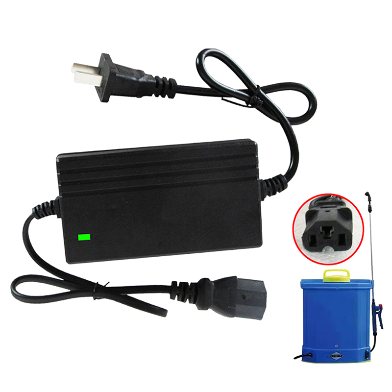 1A Lithium-Batterie-Ladegerät  – Electro Gadgets Bewertung und Preis